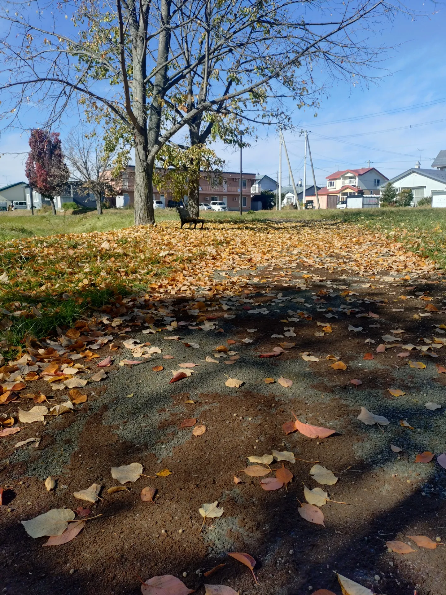 訪問看護ステーション　ファミリーナースきたみ