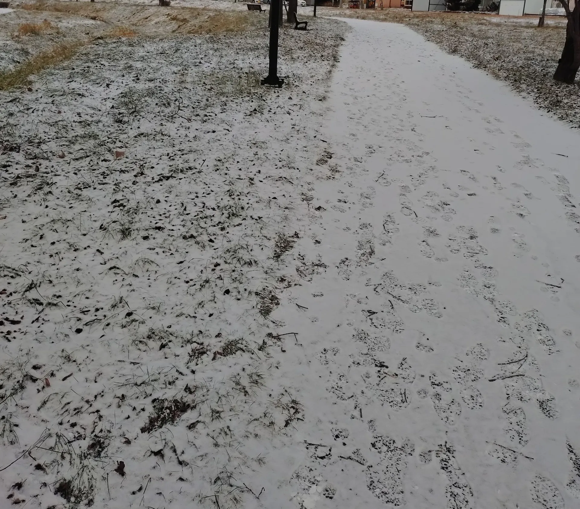 ファミリーナースきたみ