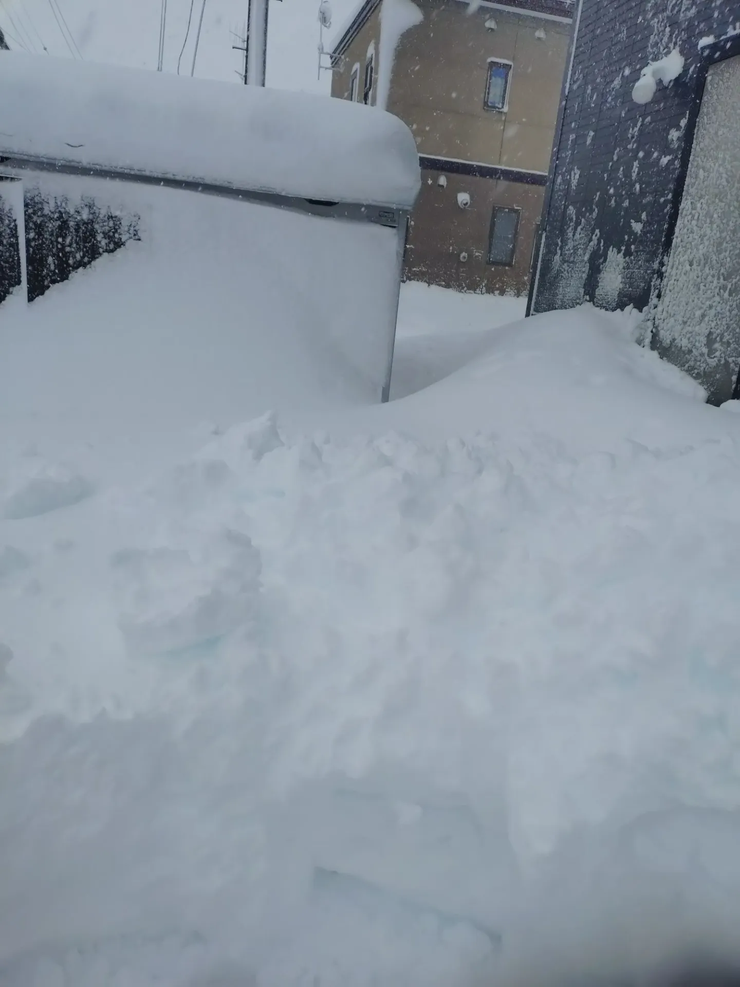 訪問看護ステーション　ファミリーナースきたみ